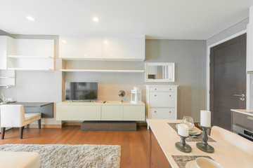 Modern living room interior