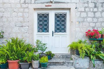 entrance door with plants and flowers