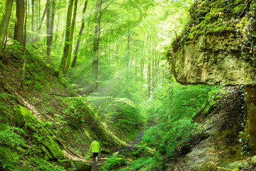 Lichtdurchflutete Seltenbachschlucht