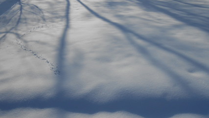 Snow cover like a fairy tale