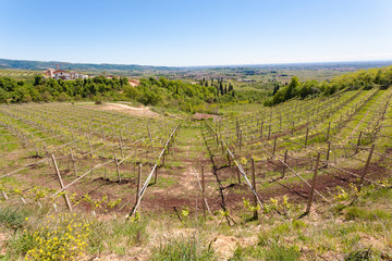 Fototapeta na wymiar Valpolicella hills landscape, Italian viticulture area, Italy
