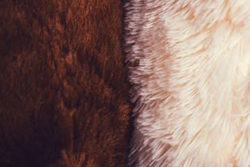 Background of artificial fur of two colors with copy space for text. Close-up and top view.