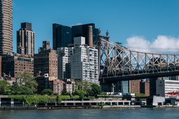Obraz premium Midtown apartment buildings on east riverside view from Roosevelt Island