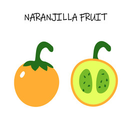  Vector illustration of naranjilla - exotic tropic fruit from Soutn America. Vegetarian art for healthy cooking menu.