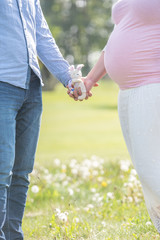 Babybauch Aufnahme mit Kuscheltier