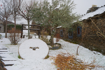Snowy-Majaelrayo.