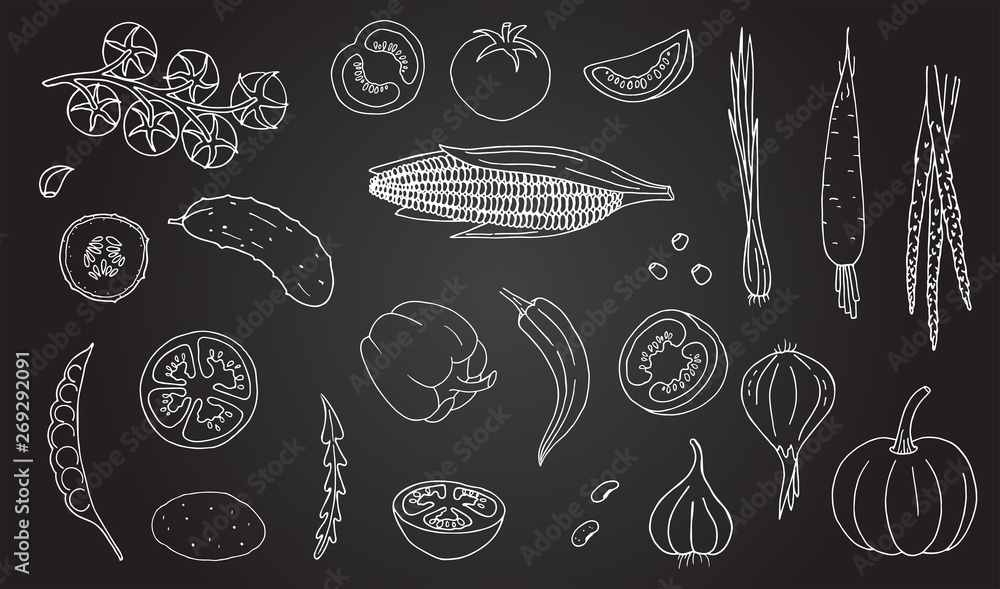 Wall mural vegetables hand drawn style white color on black background