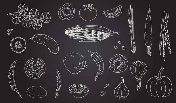 Vegetables hand drawn style white color on black background