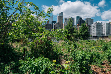 Fototapeta premium Midtown apartment buildings on east riverside view from Roosevelt Island