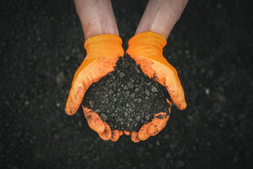Gardener is holding in hands a garden soil.
