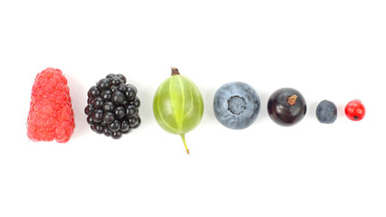 different juicy berries laid out in a row on white background