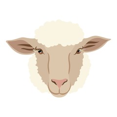 vector drawing of the sheep's head full face