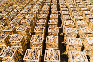 Rows of firewood stacked on pallets seen from above - 269296268