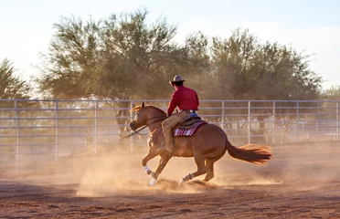 Reining Horse Spin © Richard Buchbinder