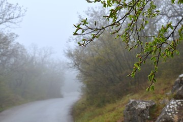 После дождя