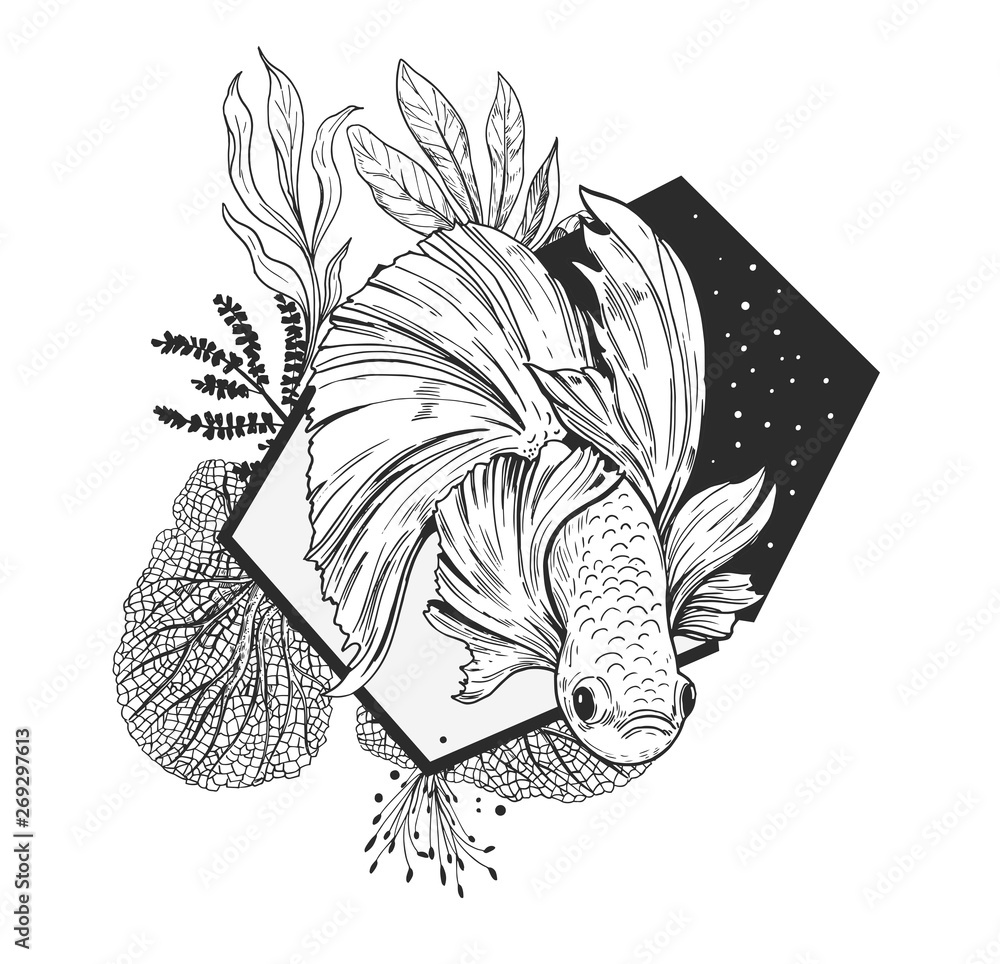 Wall mural Goldfish, plants and geometry. Modern illustration. Great for printing on t-shirts, tattoo sketches. Vector