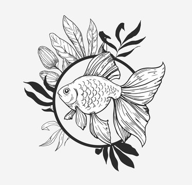 Goldfish, plants and geometry. Modern illustration. Great for printing on t-shirts, tattoo sketches. Vector