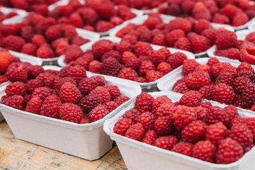 A lot of raspberries in containers. Useful food