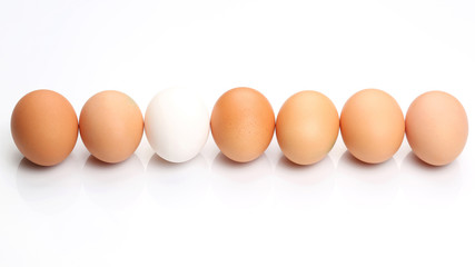 chicken eggs lie in a row on white background.