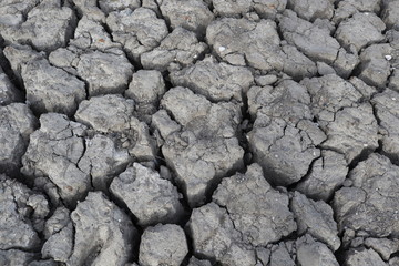Cracked earth with shells