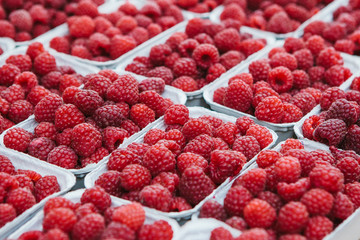 A lot of raspberries in containers. Useful food