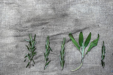 Bundles of fresh herbs spices, on gray linen background.