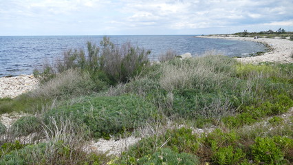 Orizzonte marino visto dalla costa adriatica pugliese