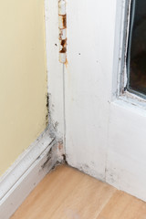 Black mould on wall  and the door in kitchen