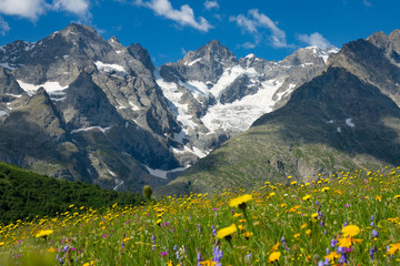 Fototapety  CLOSE UP: Breathtaking shot of rocky mountain range above the blooming meadow.