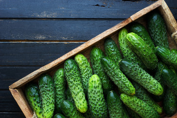 Many fresh green cucumbers in a wooden box on a wooden table top view space for text