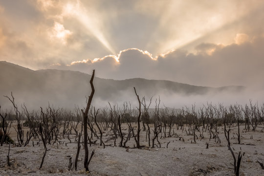 Dead forest of mount Papandayan is the most popular place for tourist. The beauty of heritage of volcanic eruption on the past. Papandayan Mountain is one of the favorite place to hike on Garut.
