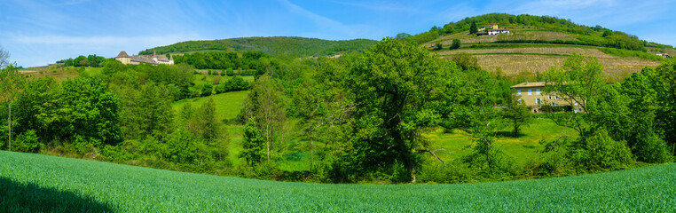 Panorama of vineyards and countryside, with Chateau, in Beaujolais