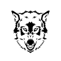 Wolf head on the white background
