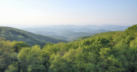 "The Green Hills" ZDS Blue Ridge Mountains Collection