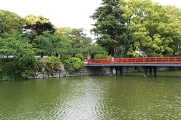 小田原城のお堀