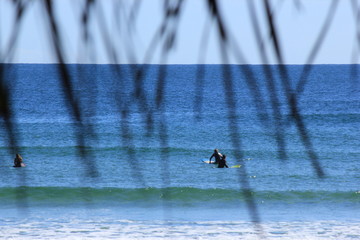 Surfers in Australia