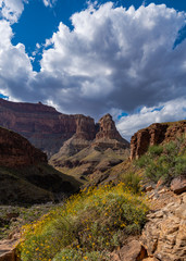 Landscapes and Views of Grand Canyon National Park 