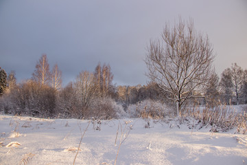 Snowy field at sunset in winter. Beautiful sky. The sky before the snow. Gray sky and sun. Evening sun Winter sunset.