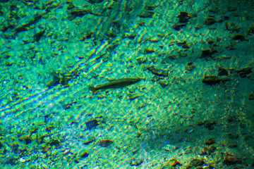 Fototapeta premium 別府弁天池