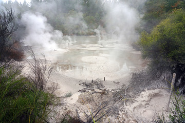 Fototapeta na wymiar Geothermal fumes over mud pools in the Waiotapu area of the Taupo Volcanic Zone in New Zealand