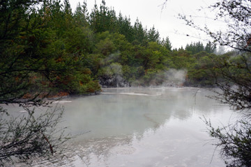 Geothermal fumes over mud pools in the Waiotapu area of the Taupo Volcanic Zone in New Zealand