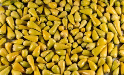 pickle ghost chilli cayenne pepper texture pattern top view