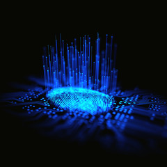 Fingerprint Binary Microchip