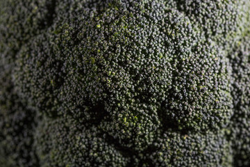 broccoli raw fresh close up