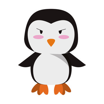 Cute penguin animal cartoon vector illustration