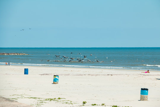 Sights and sounds of white sand summer beach
