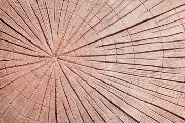 Fototapeta premium Walkway background top view