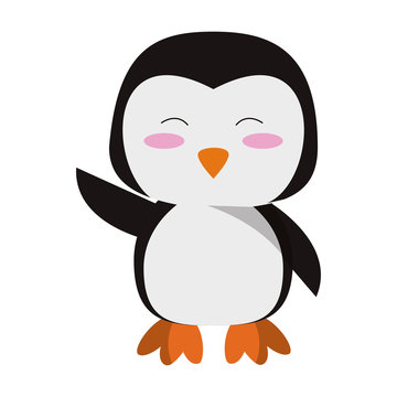 Cute penguin animal cartoon vector illustration