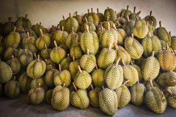 Fototapeta premium Durian tropical fruit for sale in the market on summer - Thai fruit export