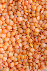 red lentil raw uncooked macro texture pattern